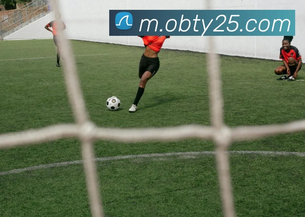 App Interface Preview